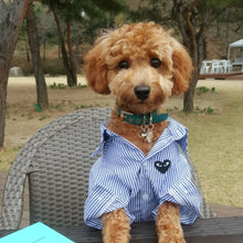 Load image into Gallery viewer, Premium Leather Dog Cat Collar w/ Crown Charm