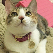 Load image into Gallery viewer, Premium Leather Dog Cat Collar w/ Crown Charm