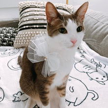 Load image into Gallery viewer, Bow with Pearl Dog Cat Collar for Special Occasion