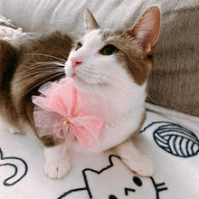 Load image into Gallery viewer, Bow with Pearl Dog Cat Collar for Special Occasion