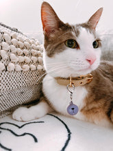Load image into Gallery viewer, Premium Solid Color Cat & Dog Bell, Pet Collar with Bell Accessories