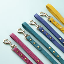Load image into Gallery viewer, Premium Leather Dog Cat Leash