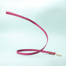 Load image into Gallery viewer, Premium Leather Dog Cat Leash
