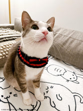 Load image into Gallery viewer, Bow Lace Dog Collar, Comfortable Pet Neckwear
