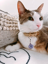 Load image into Gallery viewer, Premium Solid Color Cat &amp; Dog Bell, Pet Collar with Bell Accessories
